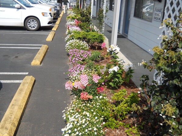 A parking lot with a row of parked cars and a flower bed with various plants and flowers. - Super 8 by Wyndham Florence OR (Florence)
