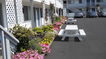 Jardines del alojamiento