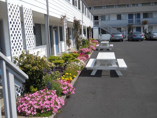 Filas de mesas de picnic blancas con un jardín de flores y un edificio con un letrero que dice 'OFFICE'.