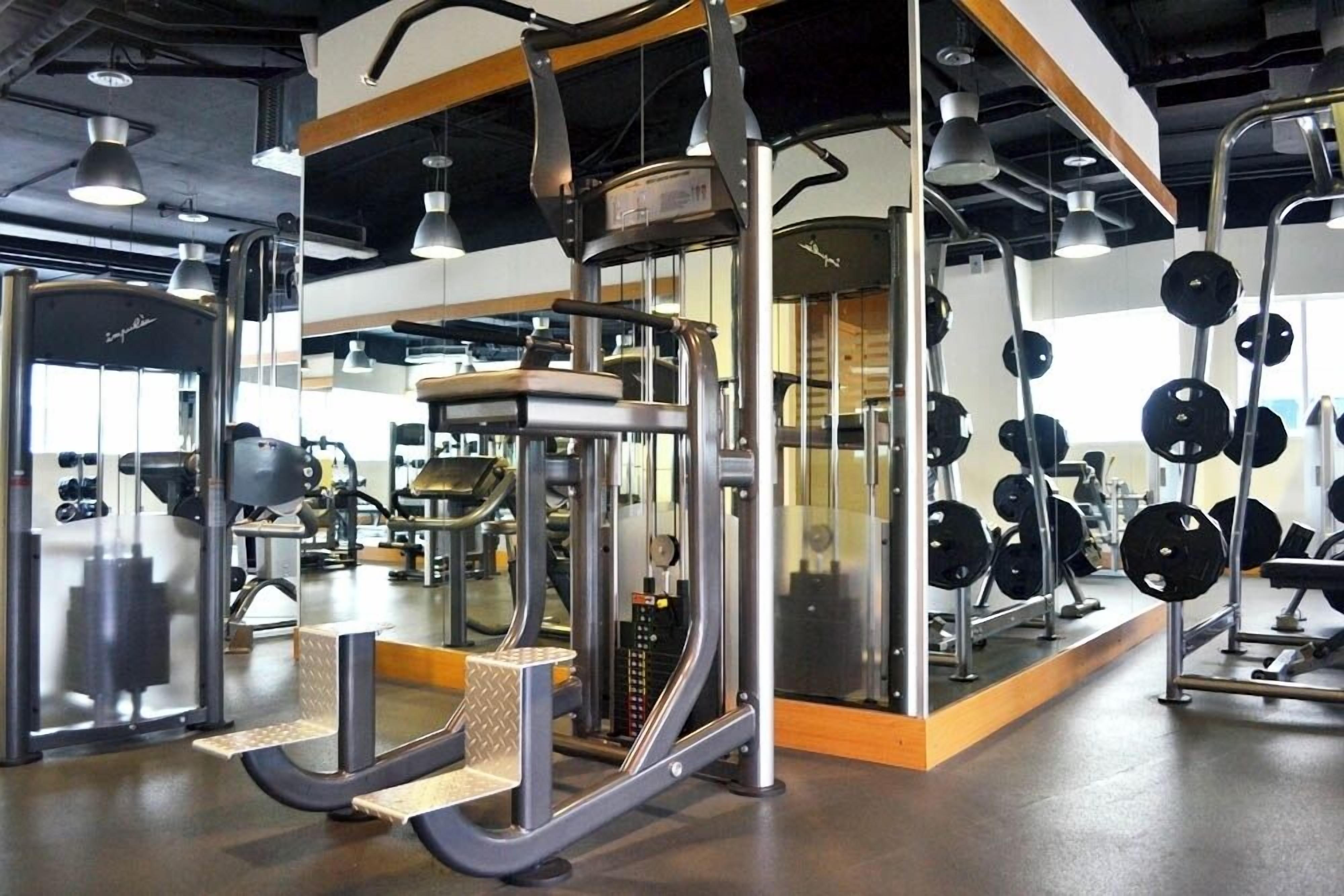Un gimnasio con diversas máquinas de ejercicio, incluyendo un rack para sentadillas y bancos de pesas.