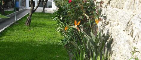 A garden with various plants and flowers, a stone wall, and a sidewalk.
