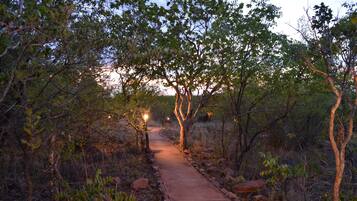 A pathway through a wooded area with trees and rocks, leading towards a sunset.