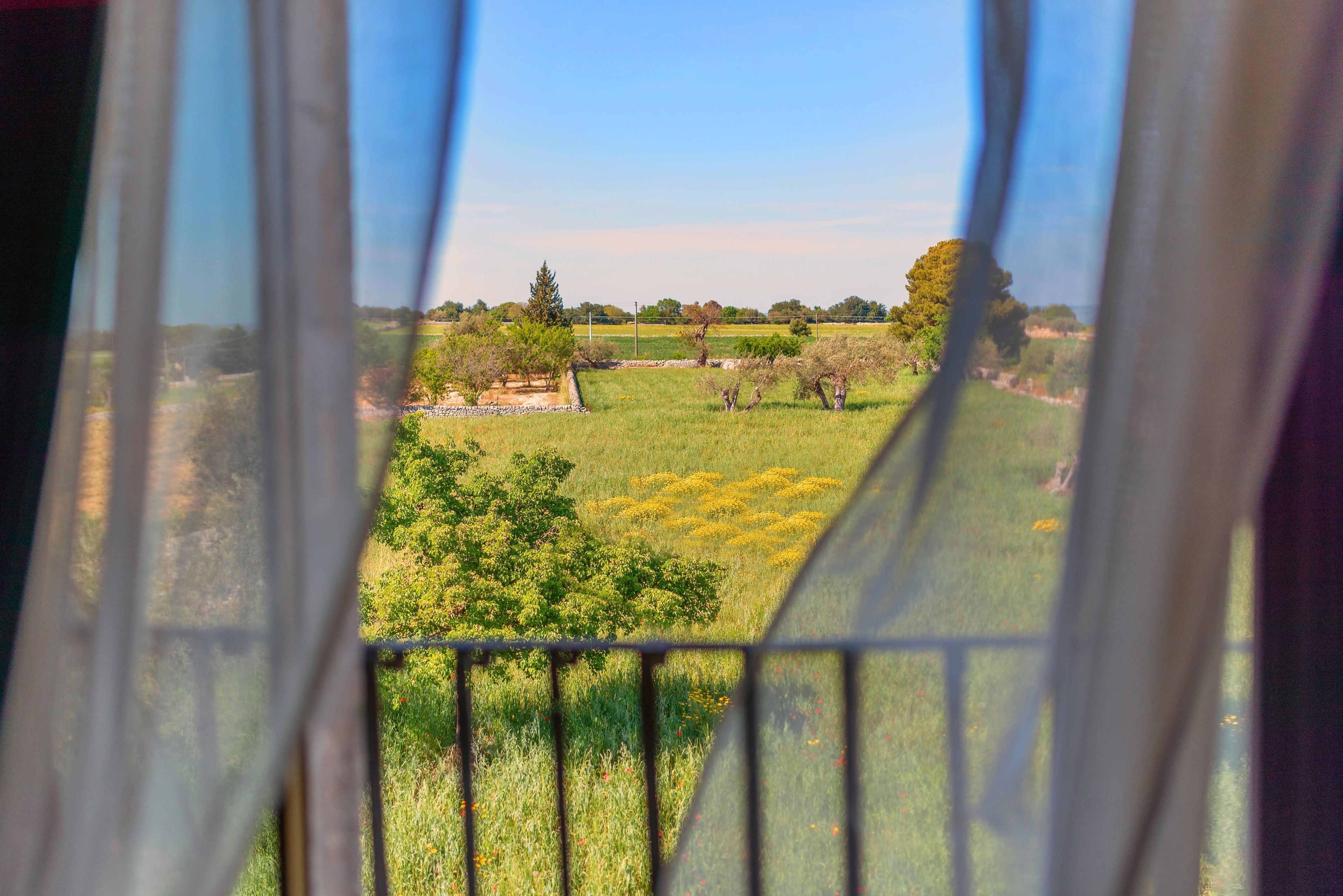 A view through a window with a metal grille, featuring a grassy field with trees and a clear sky.