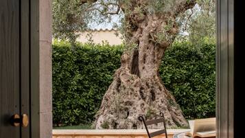 Une terrasse extérieure avec un mur en pierre, un grand arbre et une chaise en métal.