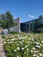 Área de parrillas y picnic