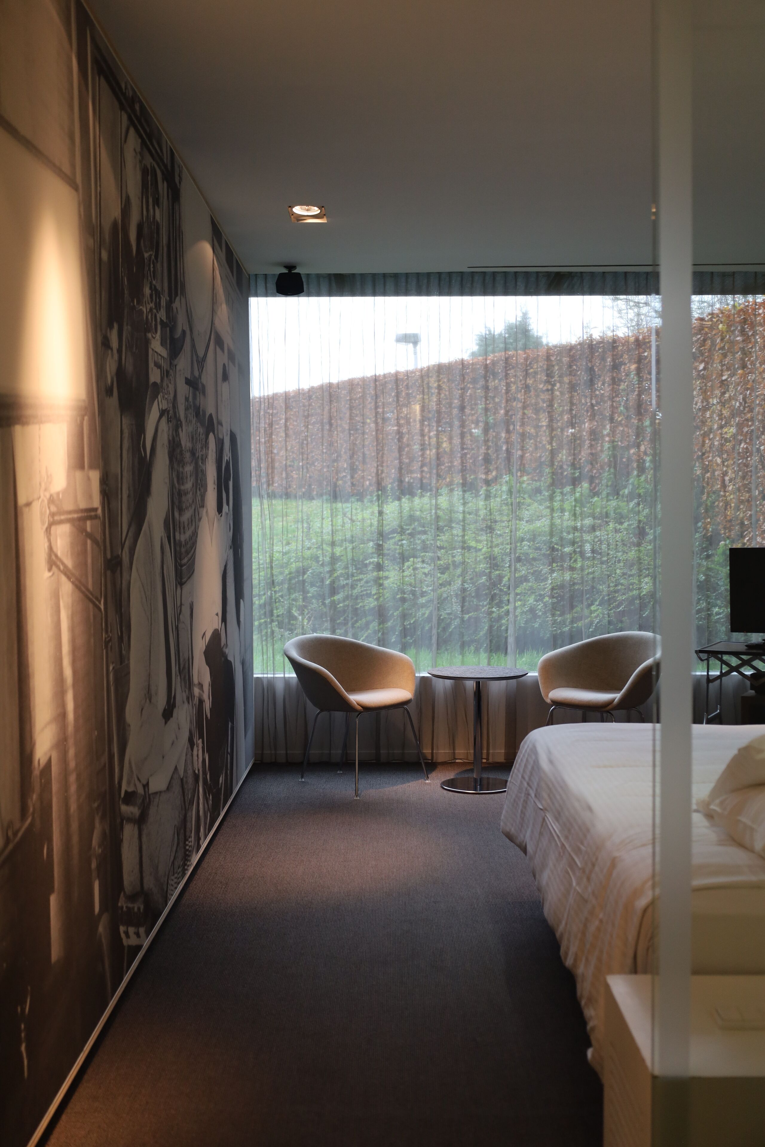 A hotel room with a large bed, two chairs, a small table, and a view of a forest through sheer curtains.
