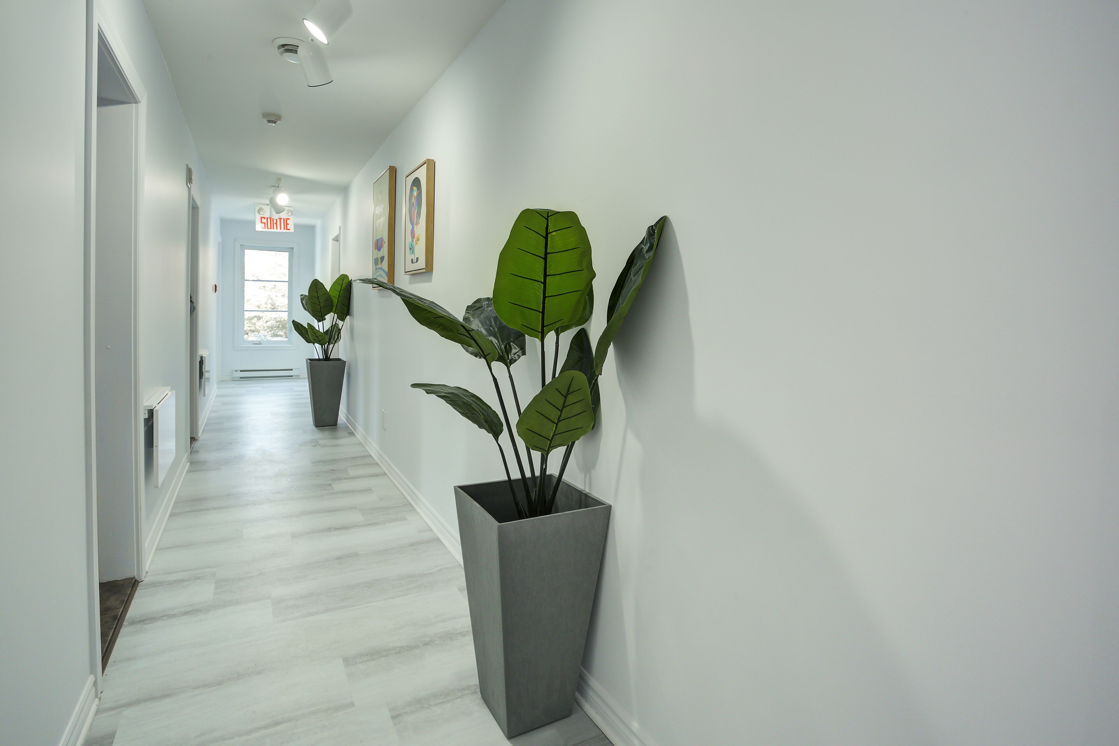A hallway with a potted plant, a door with a sign, and a window.