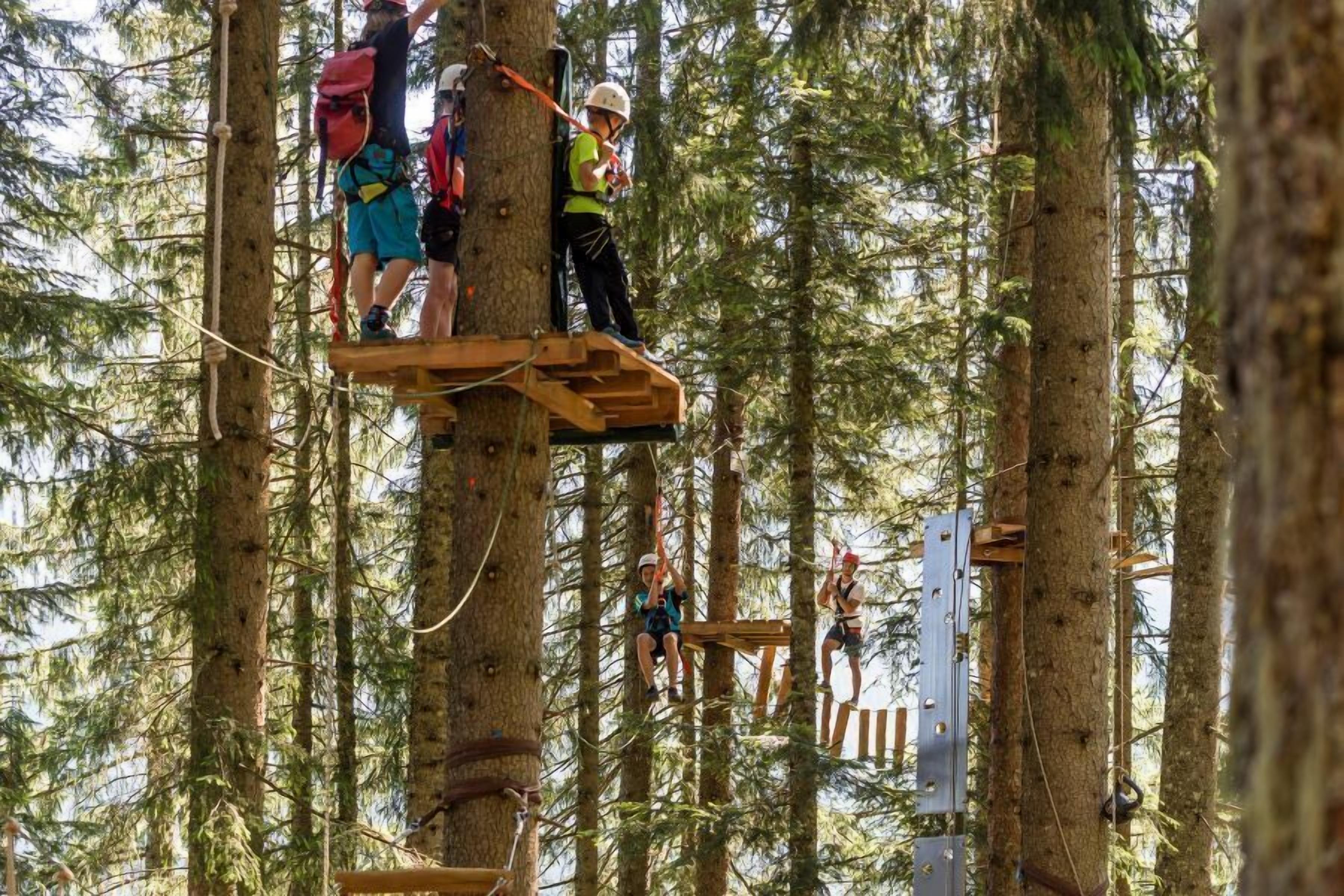Un grupo de personas en un circuito de tirolesa a través de un bosque, con plataformas de madera y arneses de seguridad.