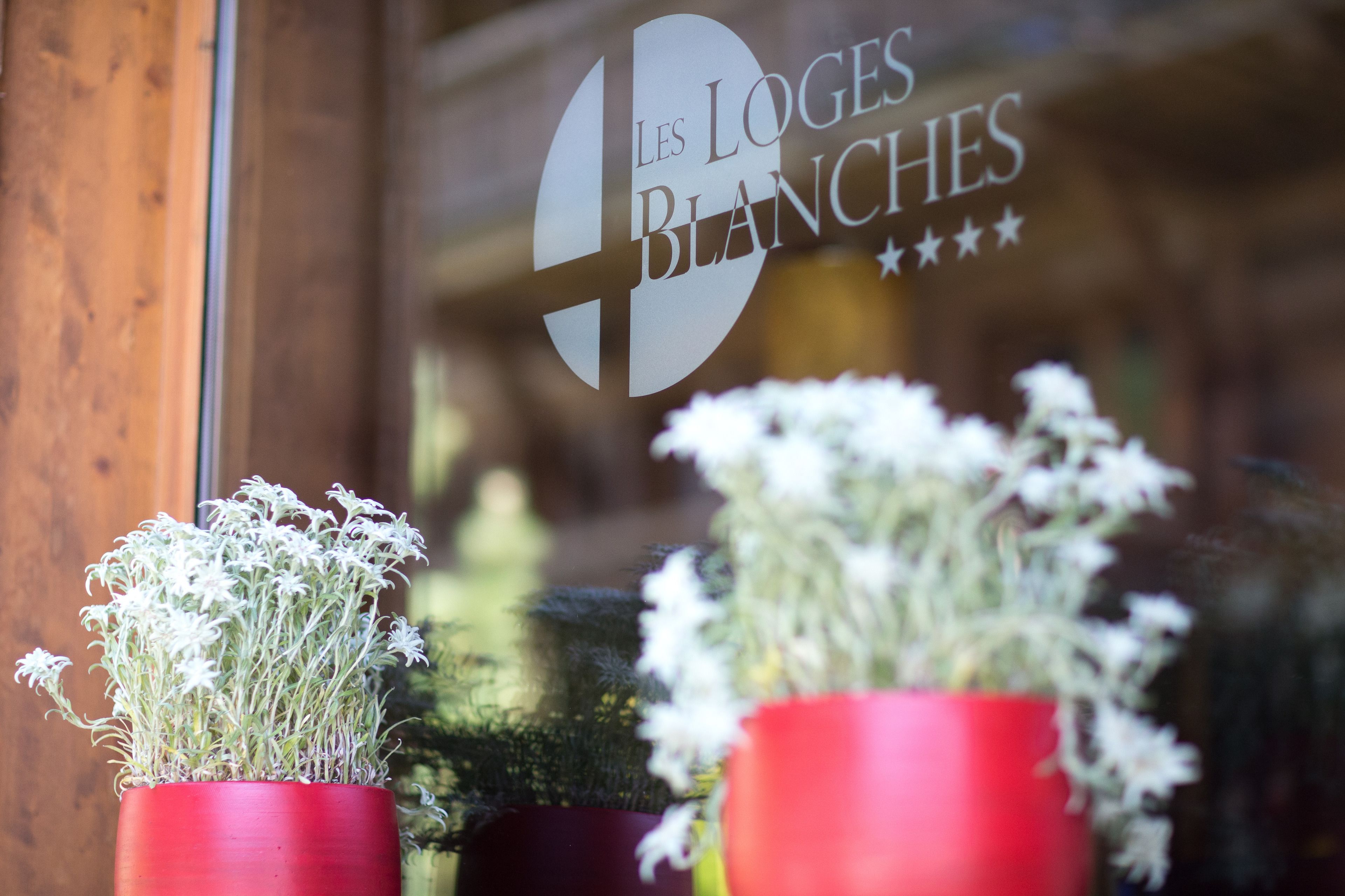 Un escaparate con un letrero que dice "Les Loges Blanches" y plantas en macetas al frente.