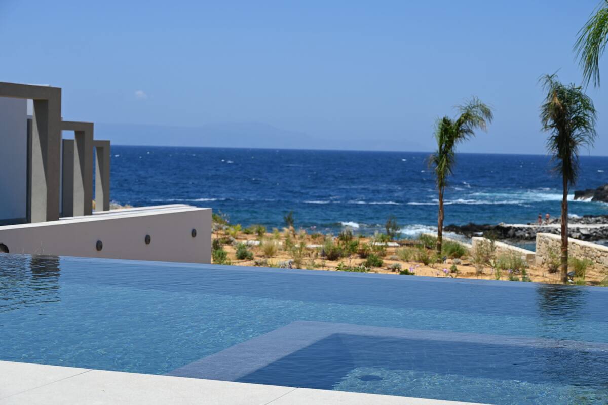 Una piscina con vista al océano y palmeras.