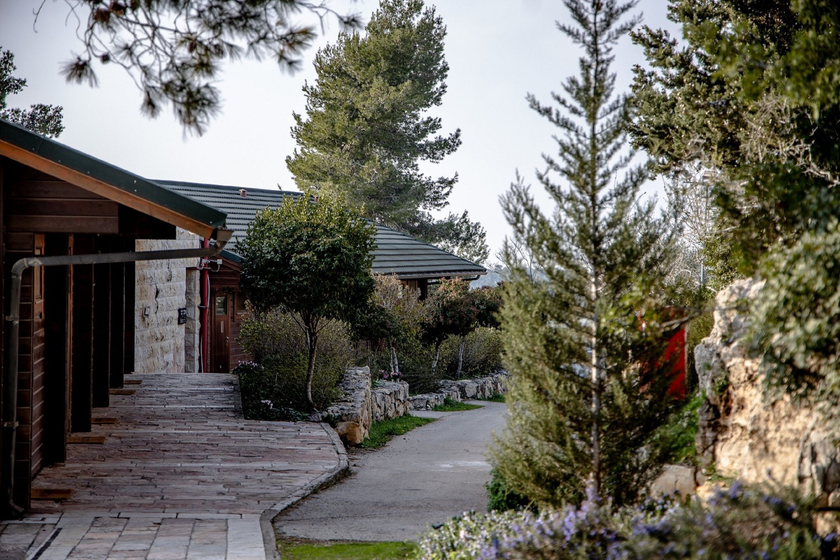 Foto - Logos hotel in Yad Hashmona