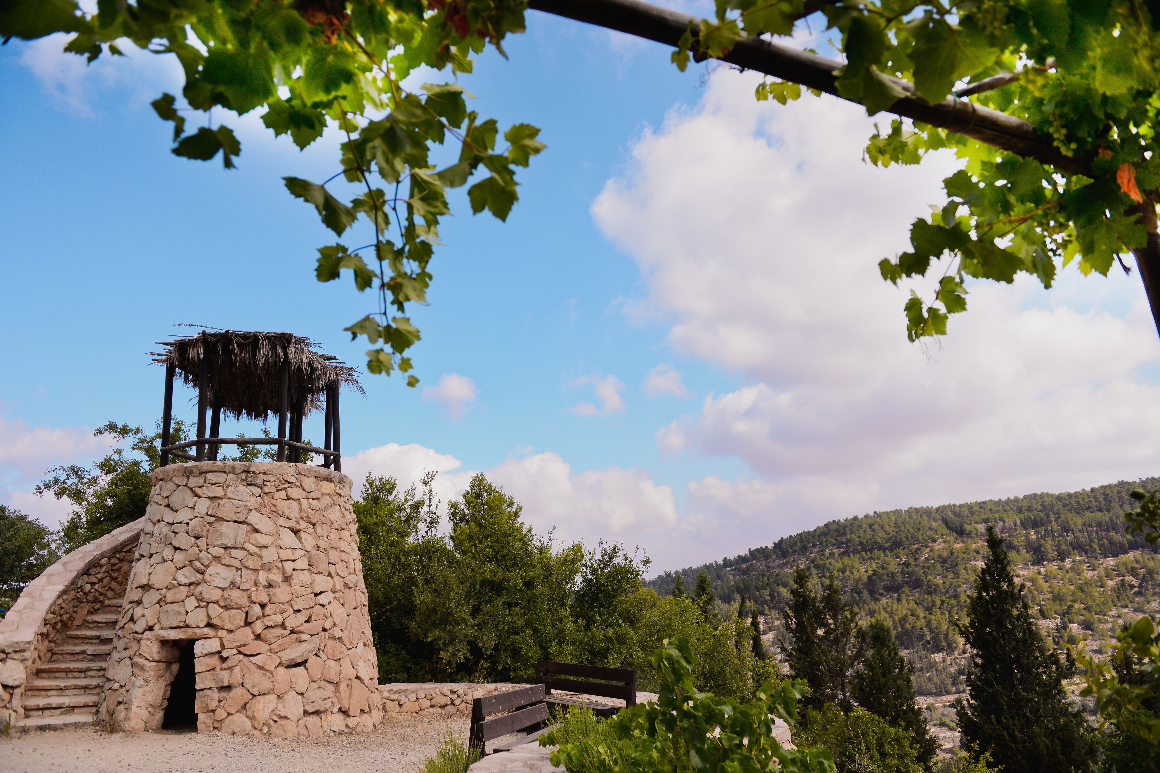 Foto - Logos hotel in Yad Hashmona