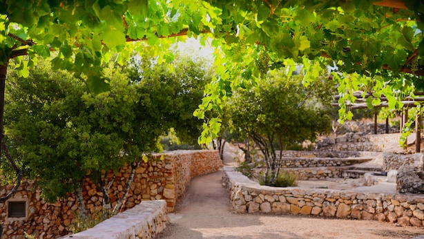 A stone pathway flanked by trees and stone walls, leading through a rustic outdoor area. - Logos hotel in Yad Hashmona (Mateh Yehuda)