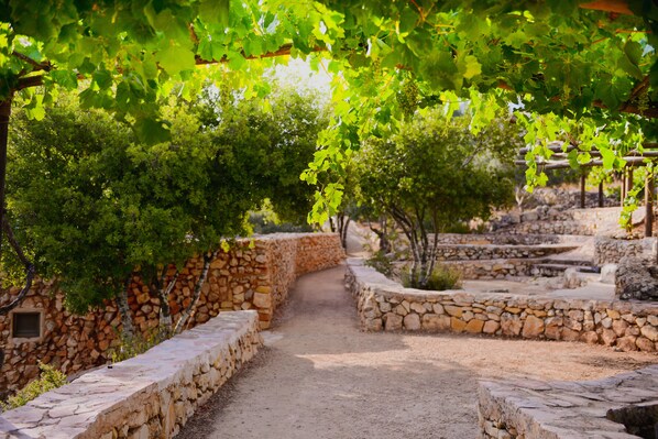 View from property - Logos hotel in Yad Hashmona (Mateh Yehuda)