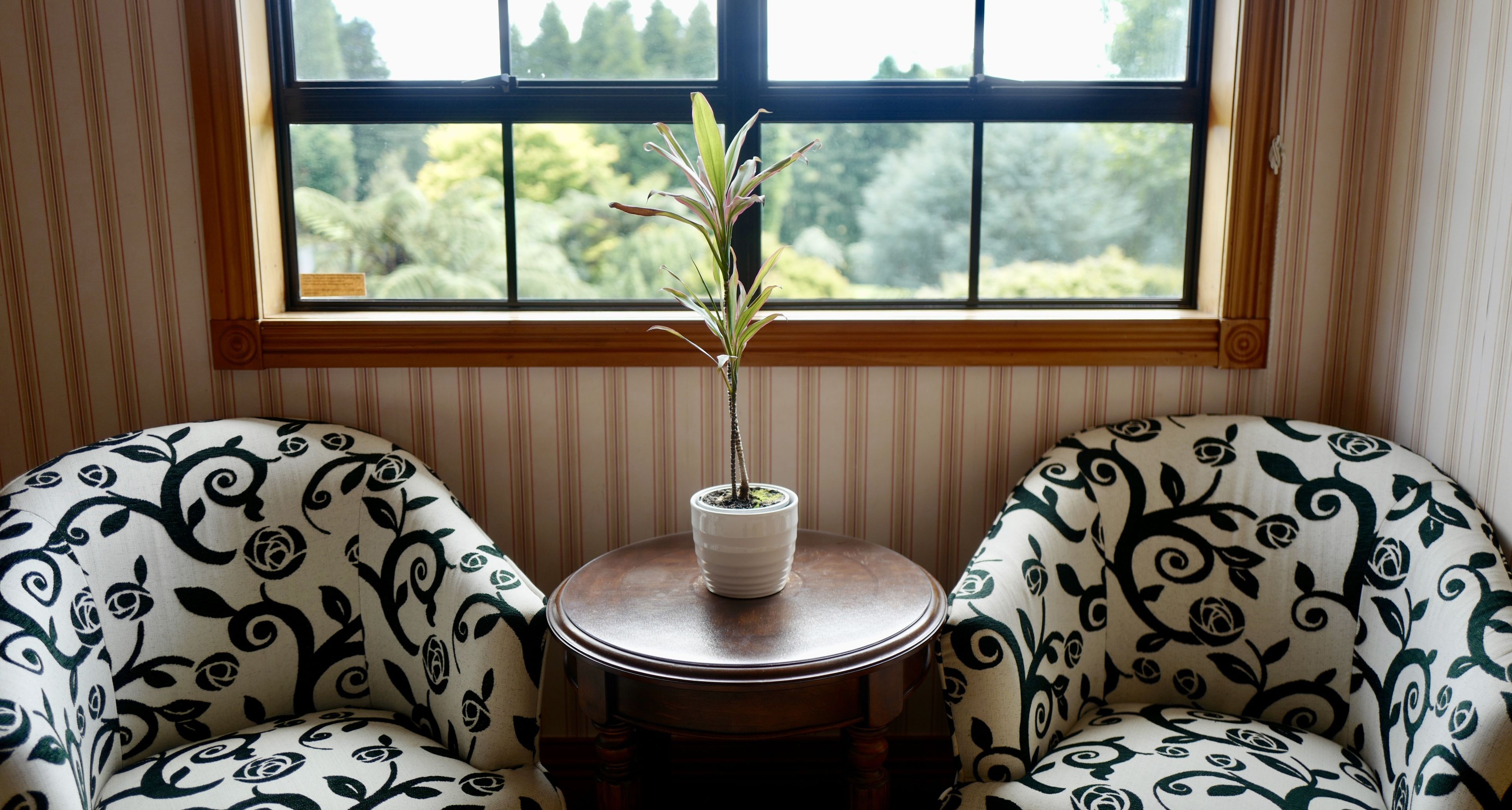 Estate Room | View from room