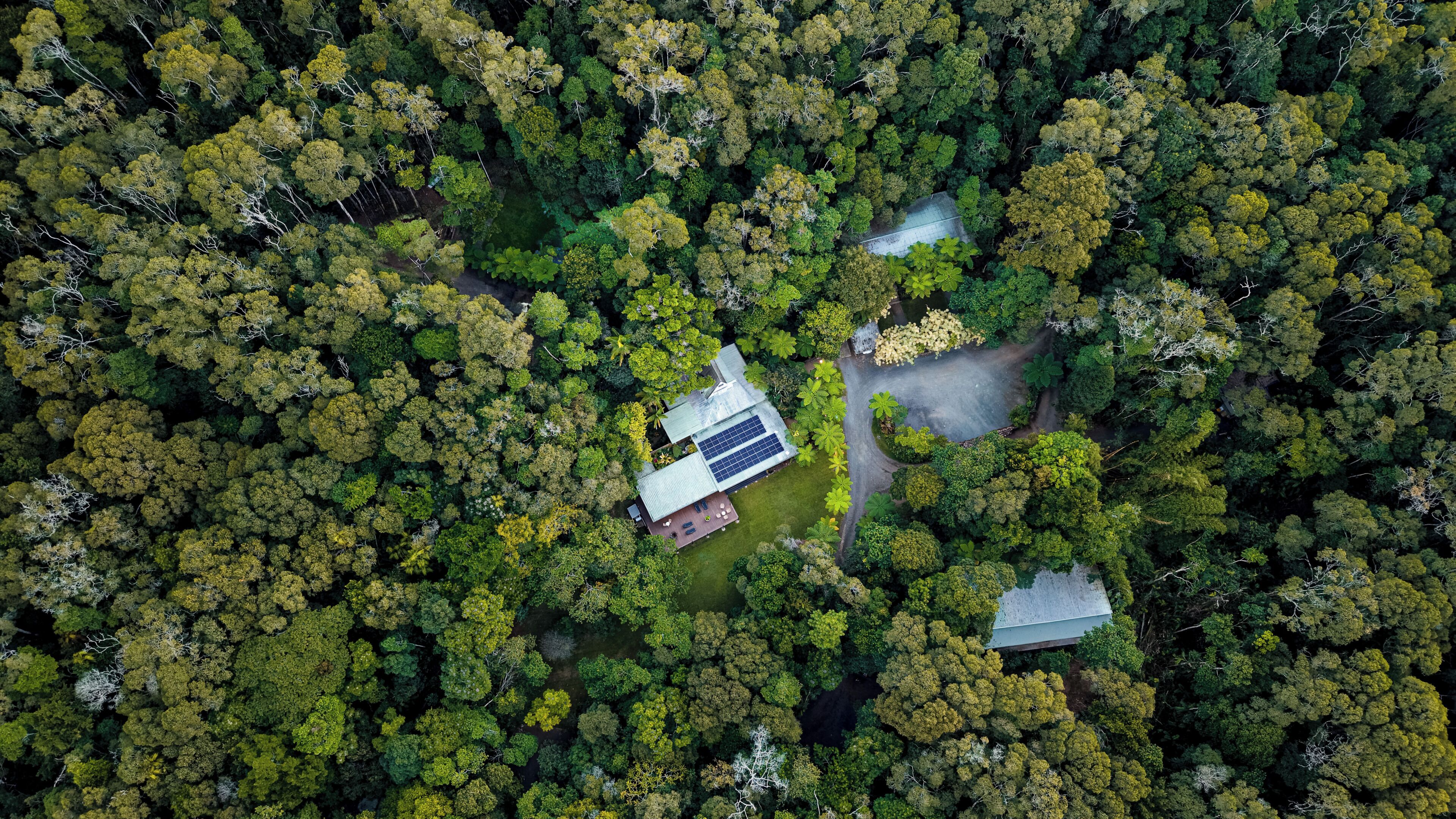 Vista aérea de una zona boscosa con una casa que cuenta con paneles solares, un camino de acceso y un pequeño jardín.
