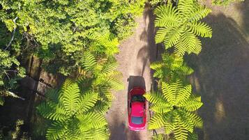 Luchtbeeld van een rode auto op een onverharde weg, omringd door weelderig groen bladerdak.