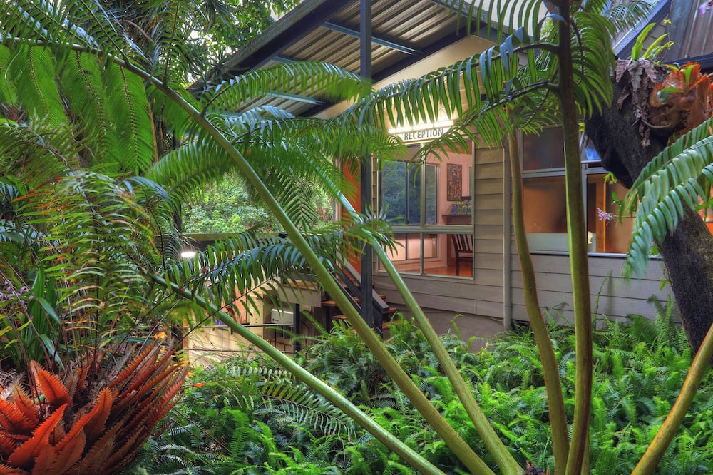 Chambers Wildlife Rainforest Lodges
