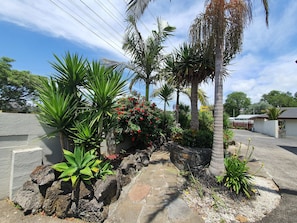 Un jardín ajardinado con diversas plantas tropicales y un sendero de piedra.