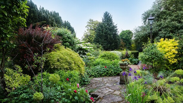 A stone pathway leading through a lush garden with various plants and flowers. - The Eastbury Hotel (Sherborne)