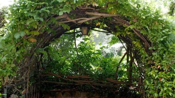 An outdoor seating area with a stone wall, covered by a vine archway, and surrounded by potted plants. - Hotel Villa Belvedere (San Gimignano)