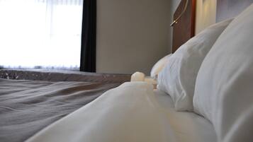 Down comforters, memory foam beds, desk, laptop workspace