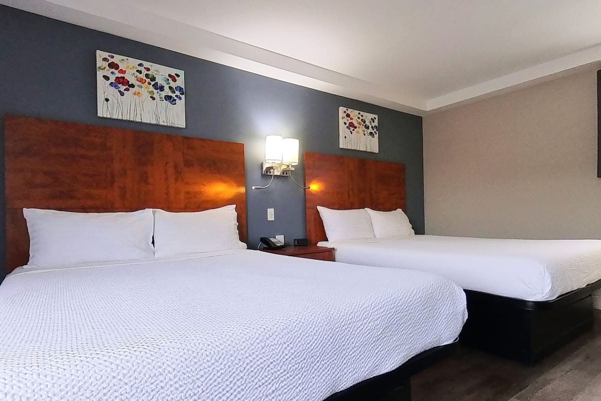 Deluxe Studio, 2 Queen Beds, Non Smoking, Kitchenette | 1 bedroom, down comforters, memory foam beds, desk