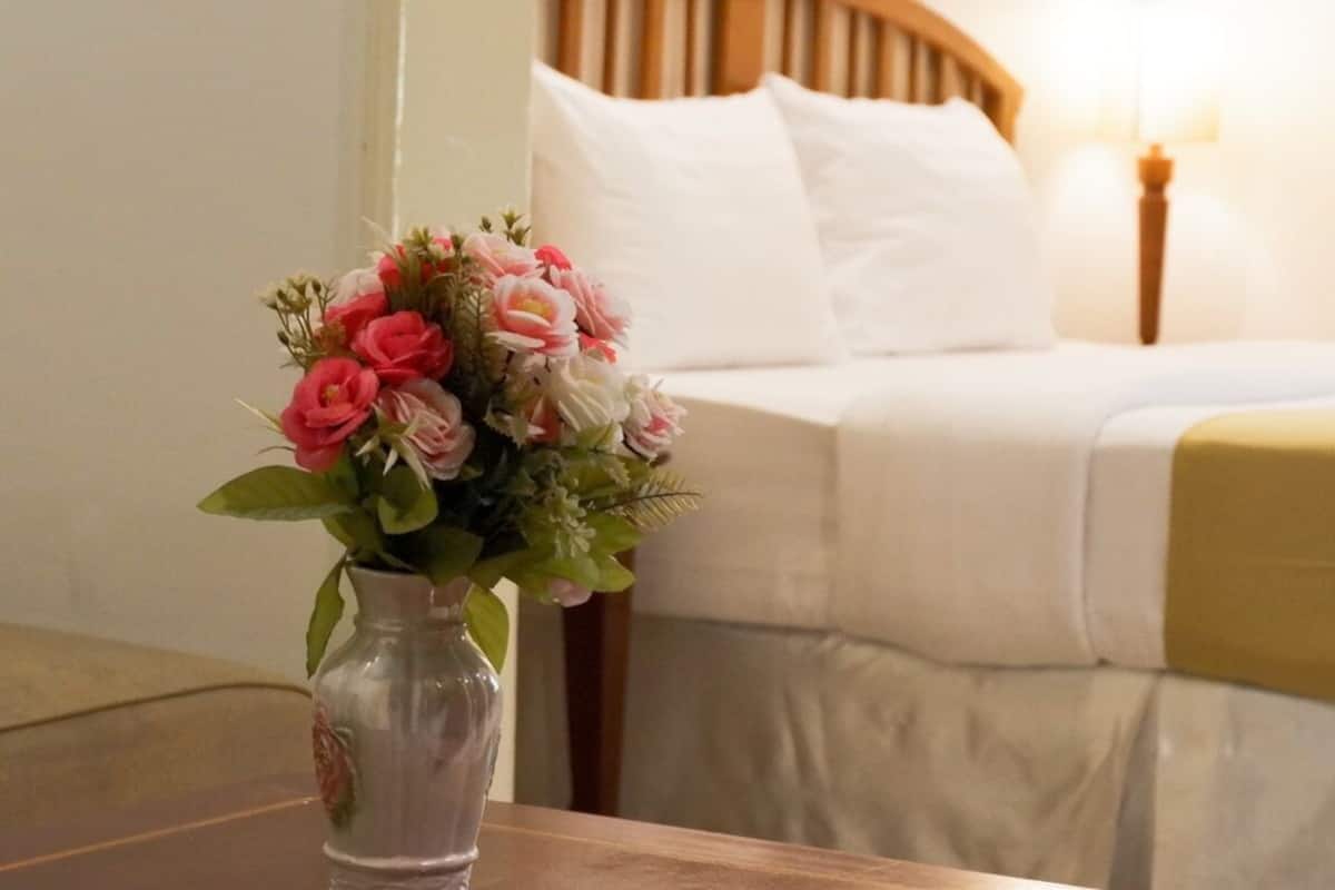 Basic Double Room | 1 bedroom, free minibar items, in-room safe, desk