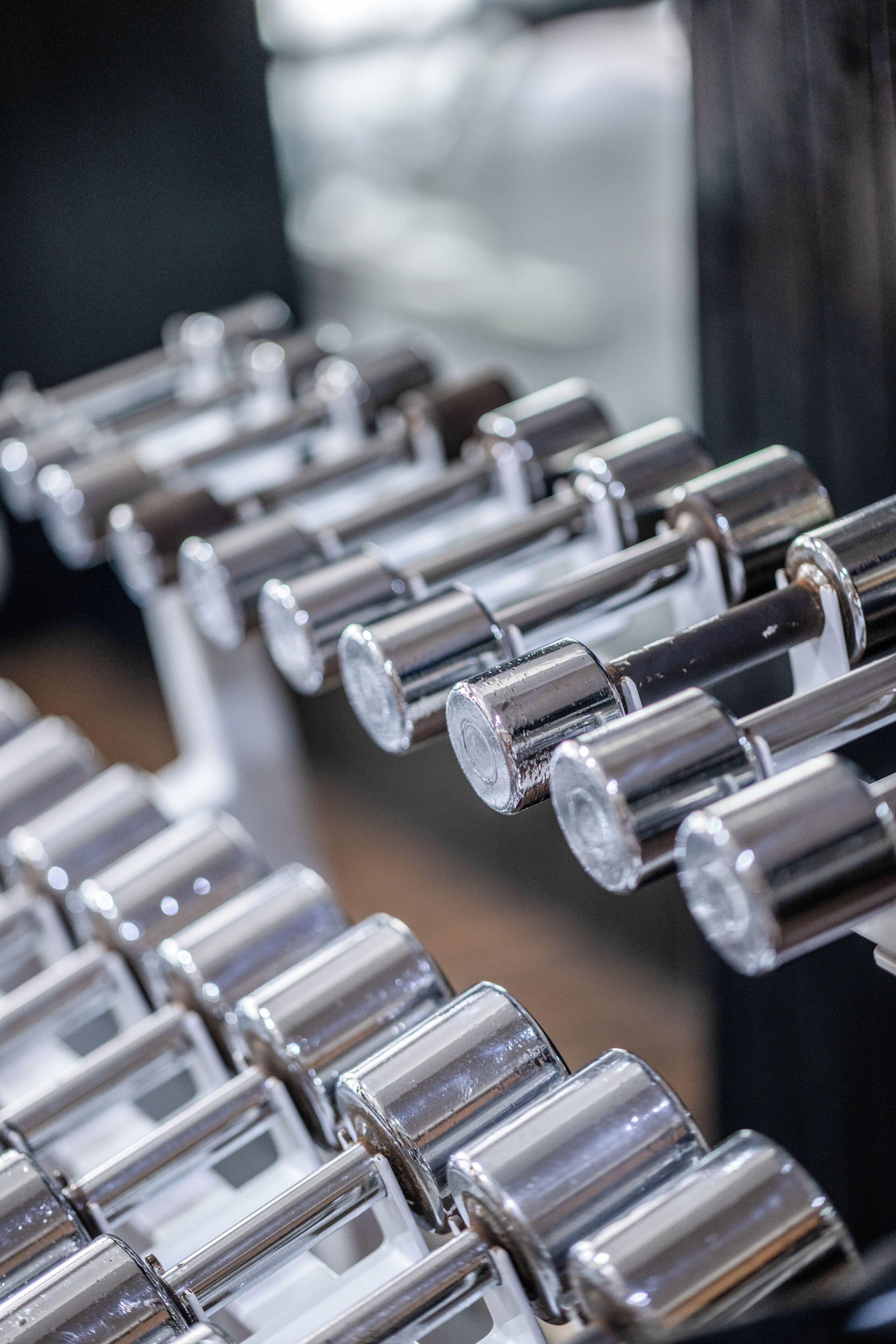 A close-up of metallic dumbbells arranged in rows.