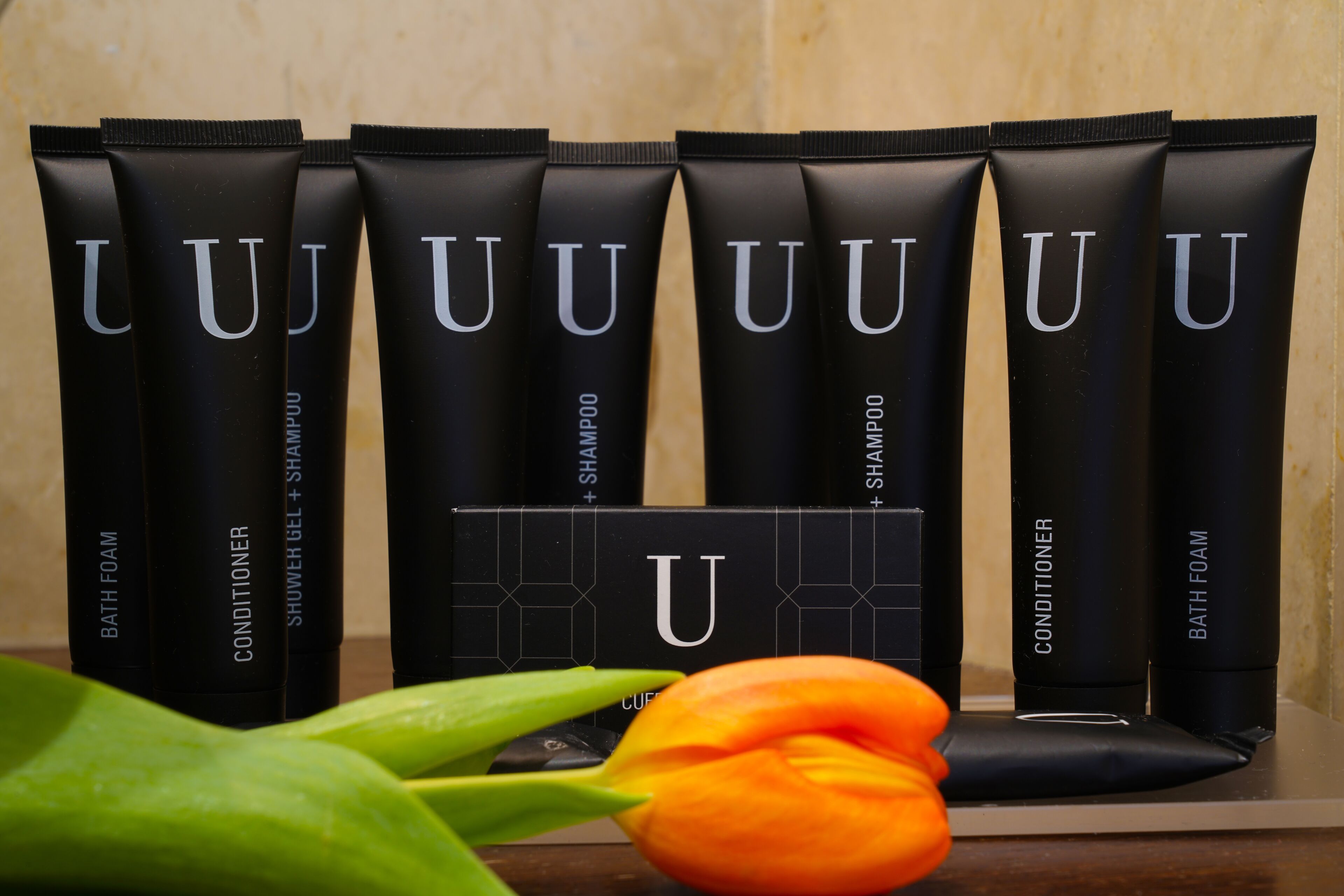 Foto - Hotel Pisa Tower Plaza