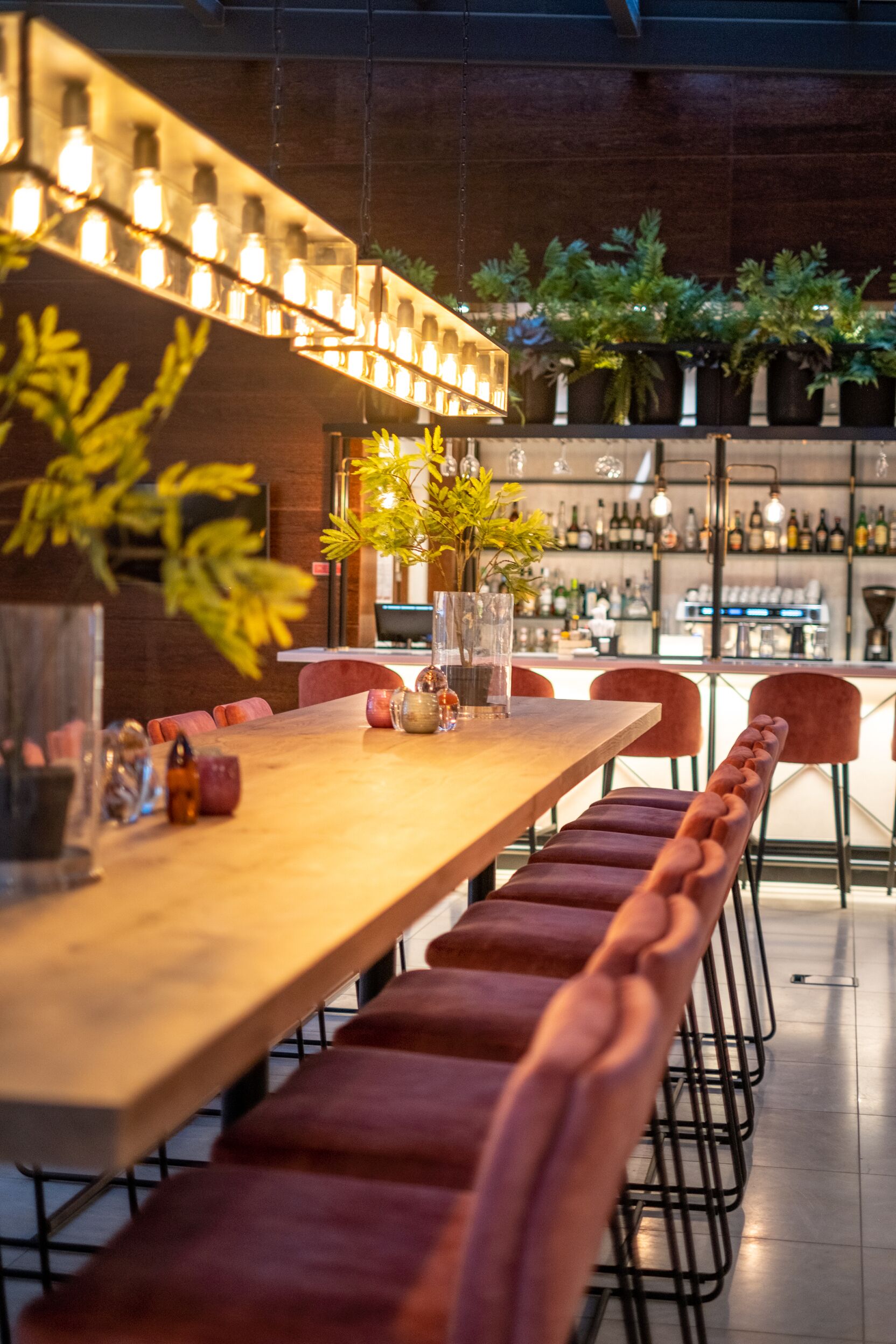 Bar (på overnattingsstedet)