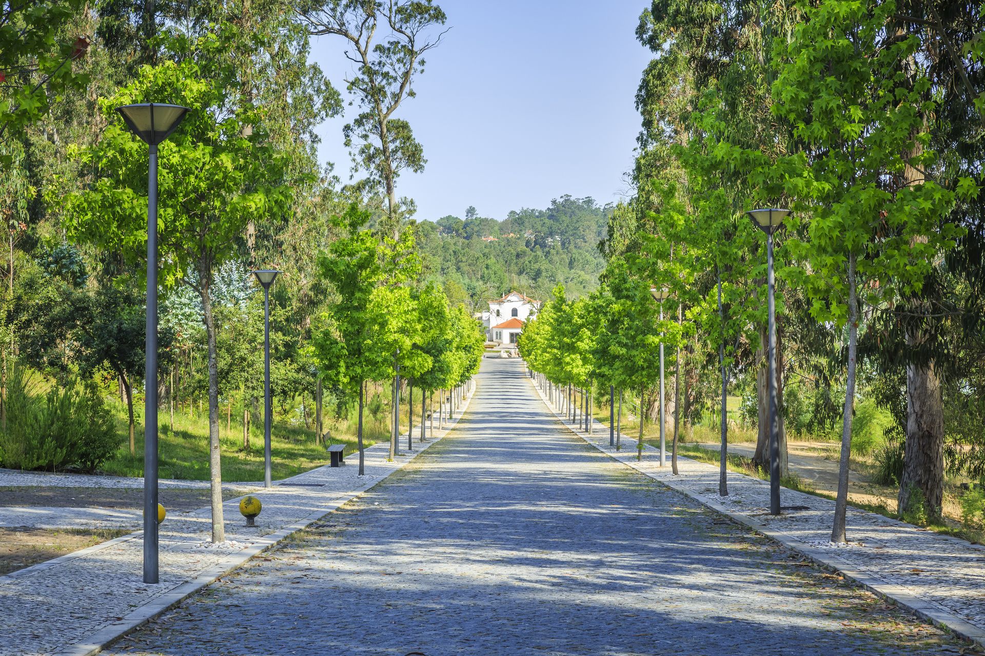 Un chemin pavé, bordé d’arbres et d’éclairages publics, mène à un bâtiment situé au loin.