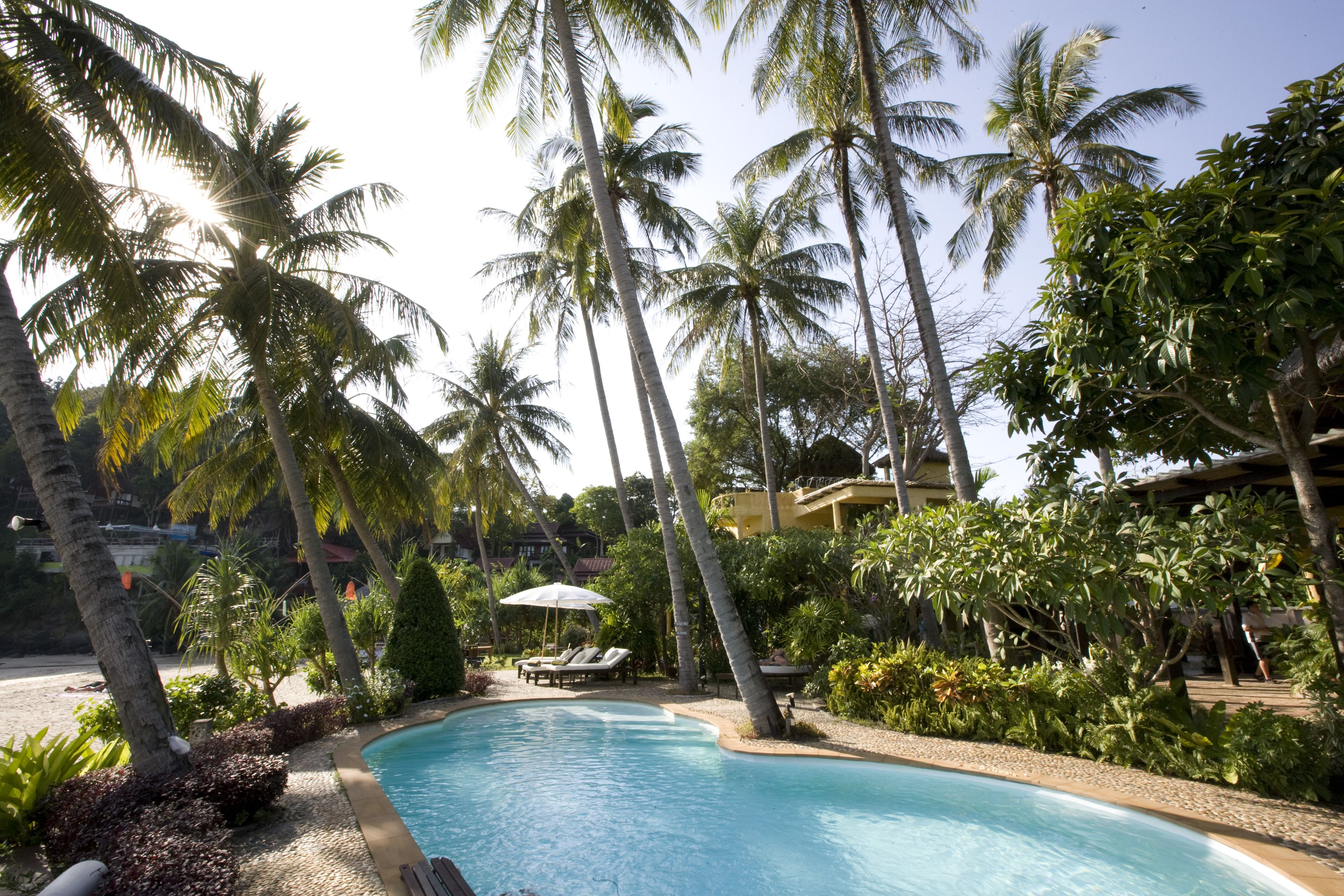 outdoor pool, pool umbrellas, pool loungers