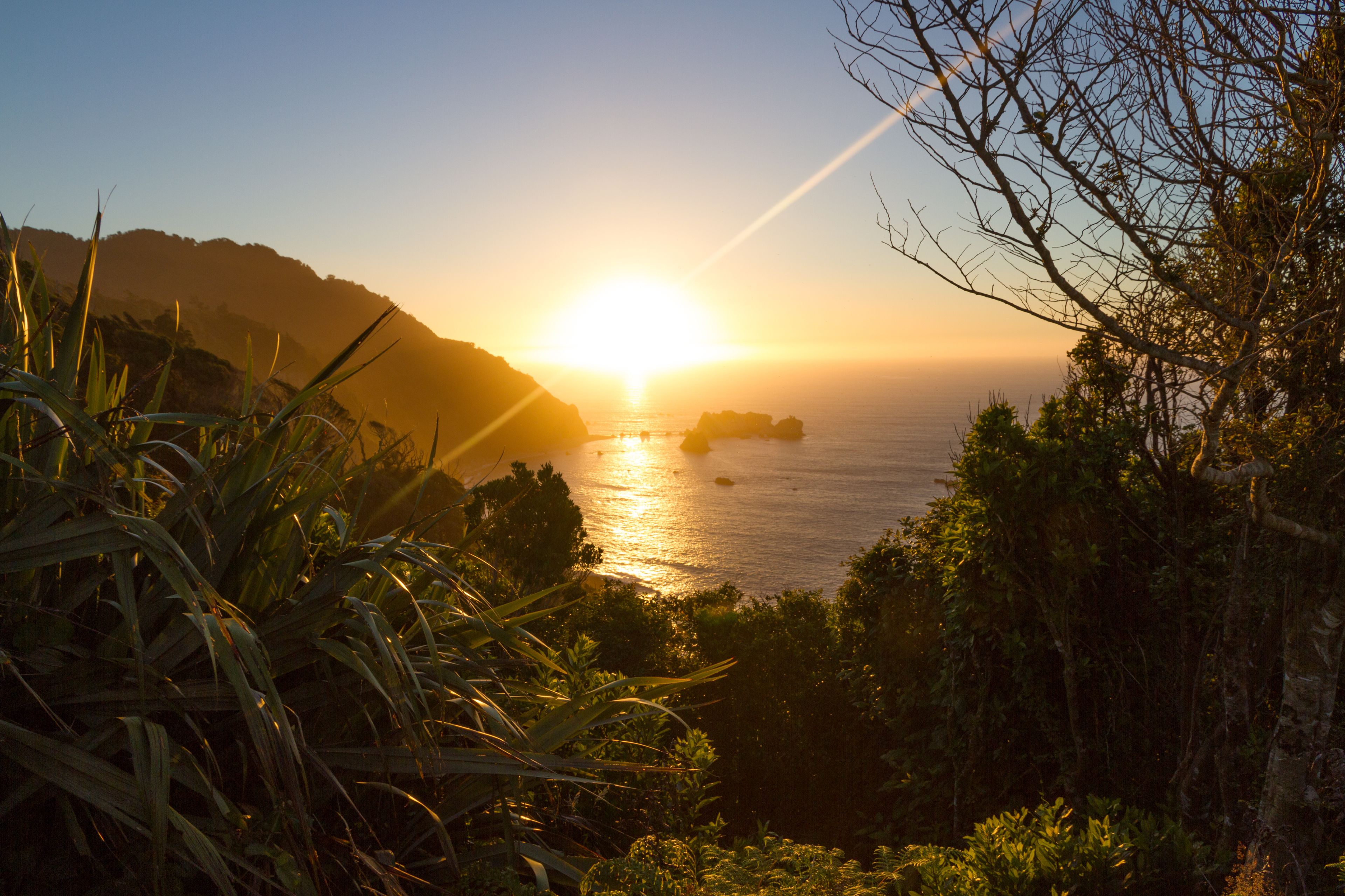Un paysage côtier avec un coucher de soleil sur l’océan, de la végétation au premier plan et un ciel dégagé.