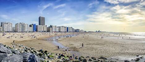 A beach with a city skyline in the background, featuring high-rise buildings and a clear sky.