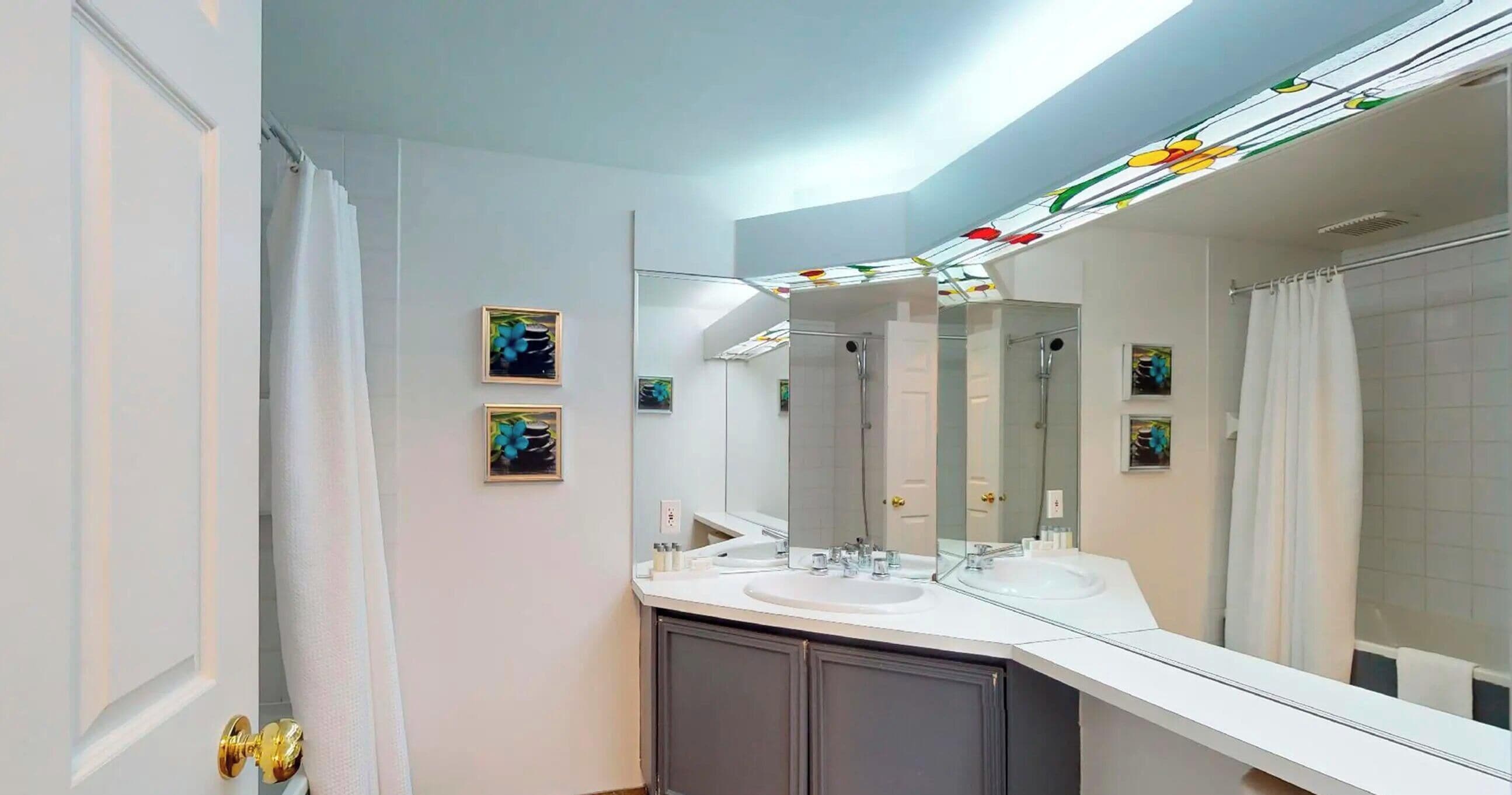 Estudio superior, 1 cama Queen size y sofá cama | Baño | Tina con regadera, secadora de cabello, toallas, jabón 