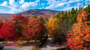 A pathway lined with autumn-colored trees leading to a mountain.