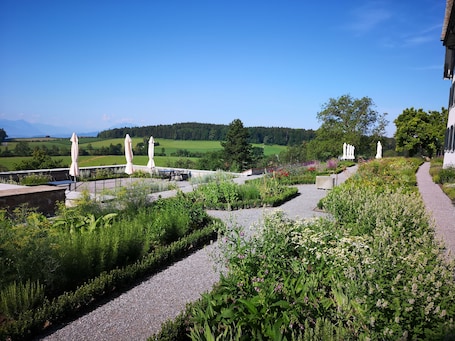 Garden. Kloster Kappel