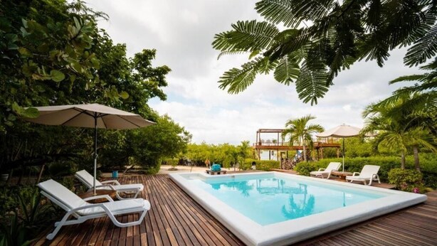 Une piscine rectangulaire, agrémentée de chaises longues et d’un parasol, est installée sur une terrasse en bois, le tout étant entouré d’une végétation luxuriante.