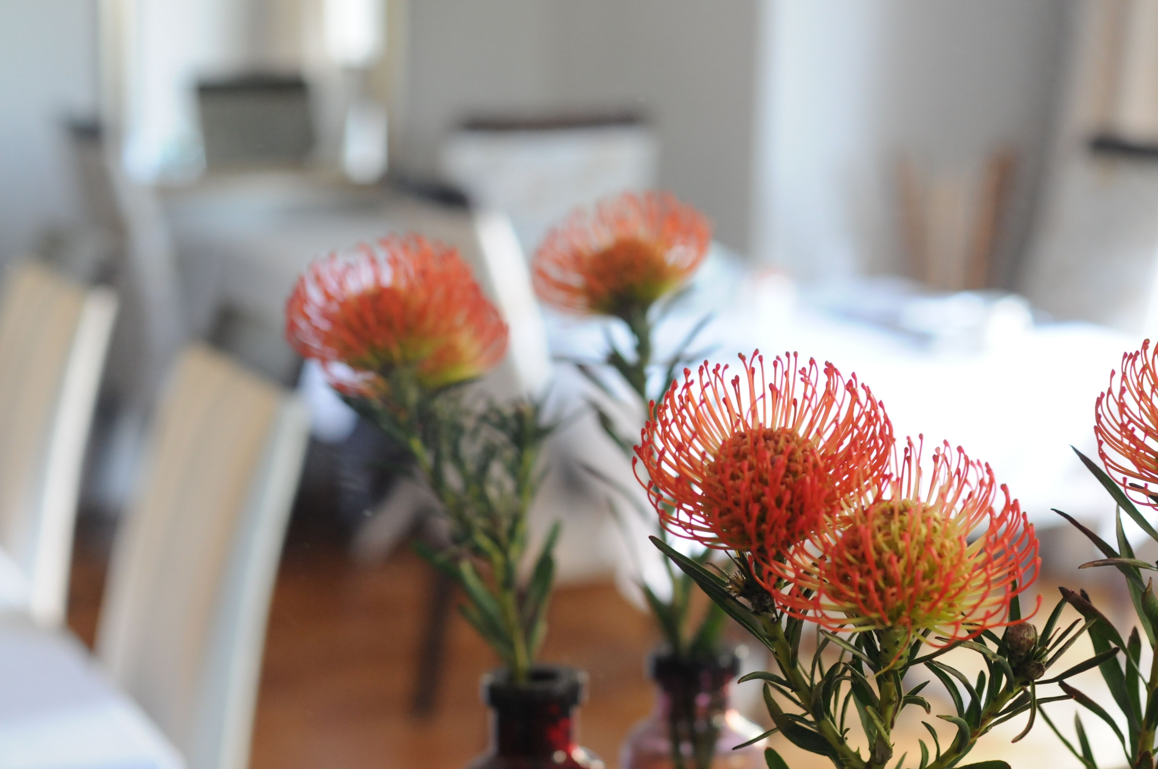 Photo - Abbey Manor Luxury Guesthouse