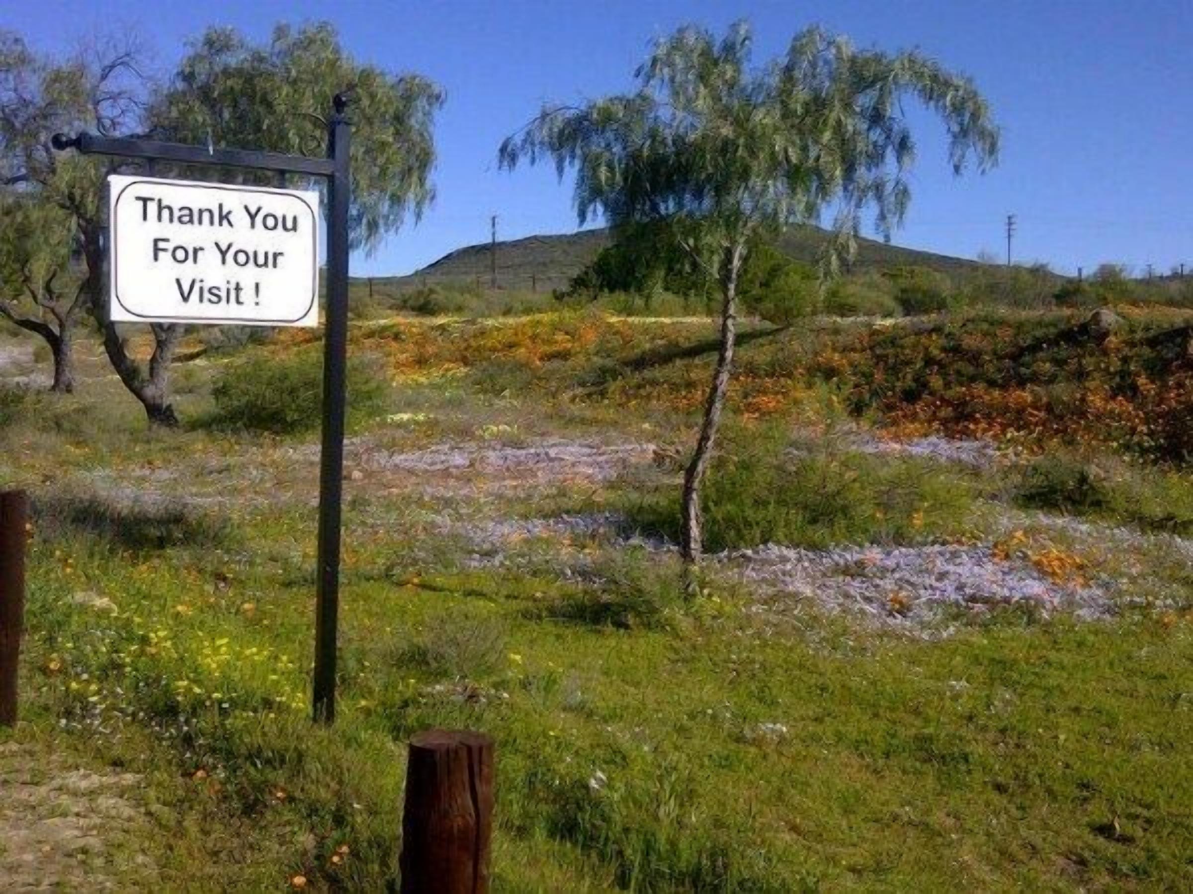 Uma placa com o texto 'Obrigado pela sua visita!' em ambiente natural, com grama, flores e árvores.