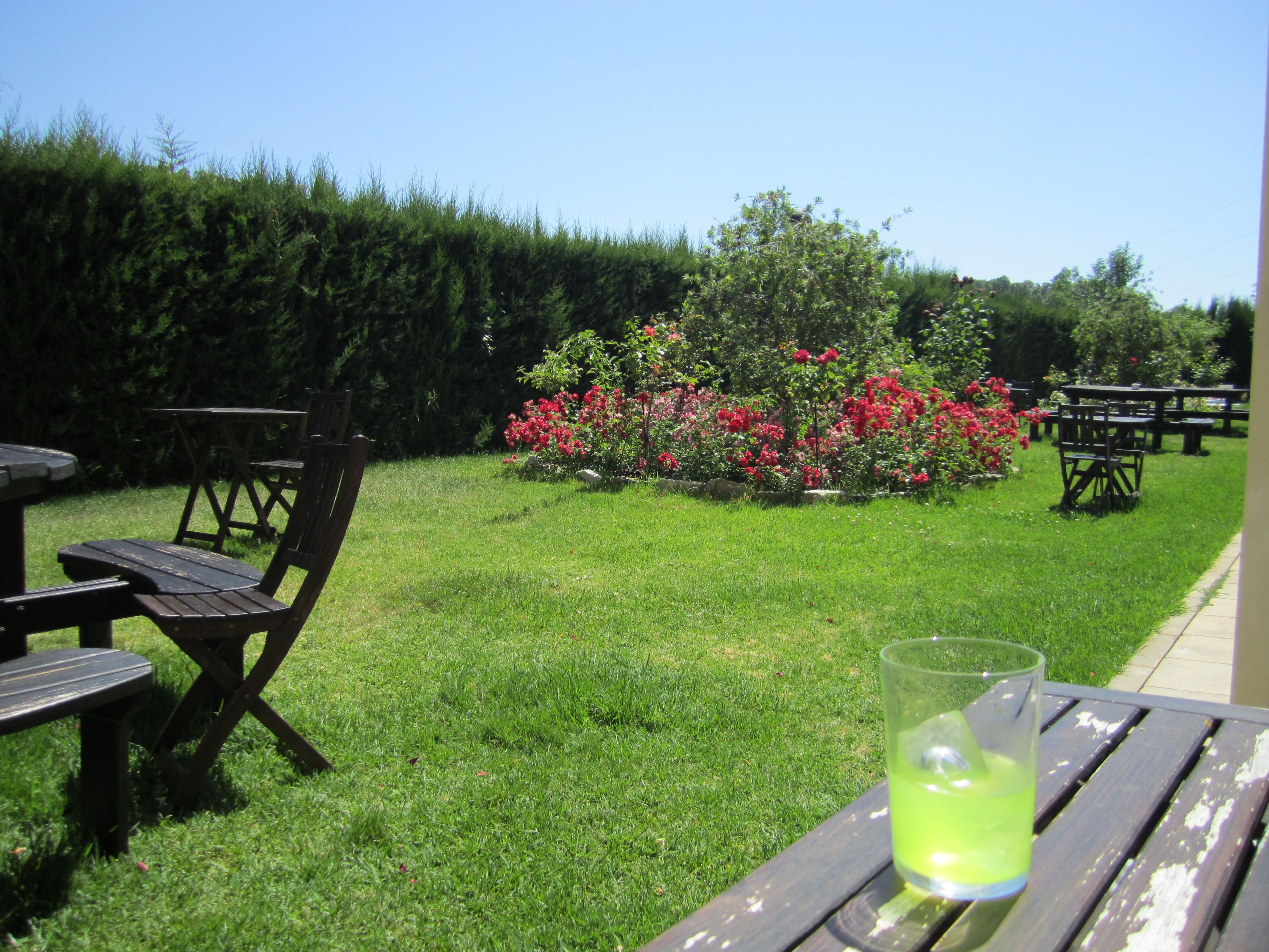 A grassy outdoor area with picnic tables and chairs, a small garden with red flowers, and a clear blue sky.