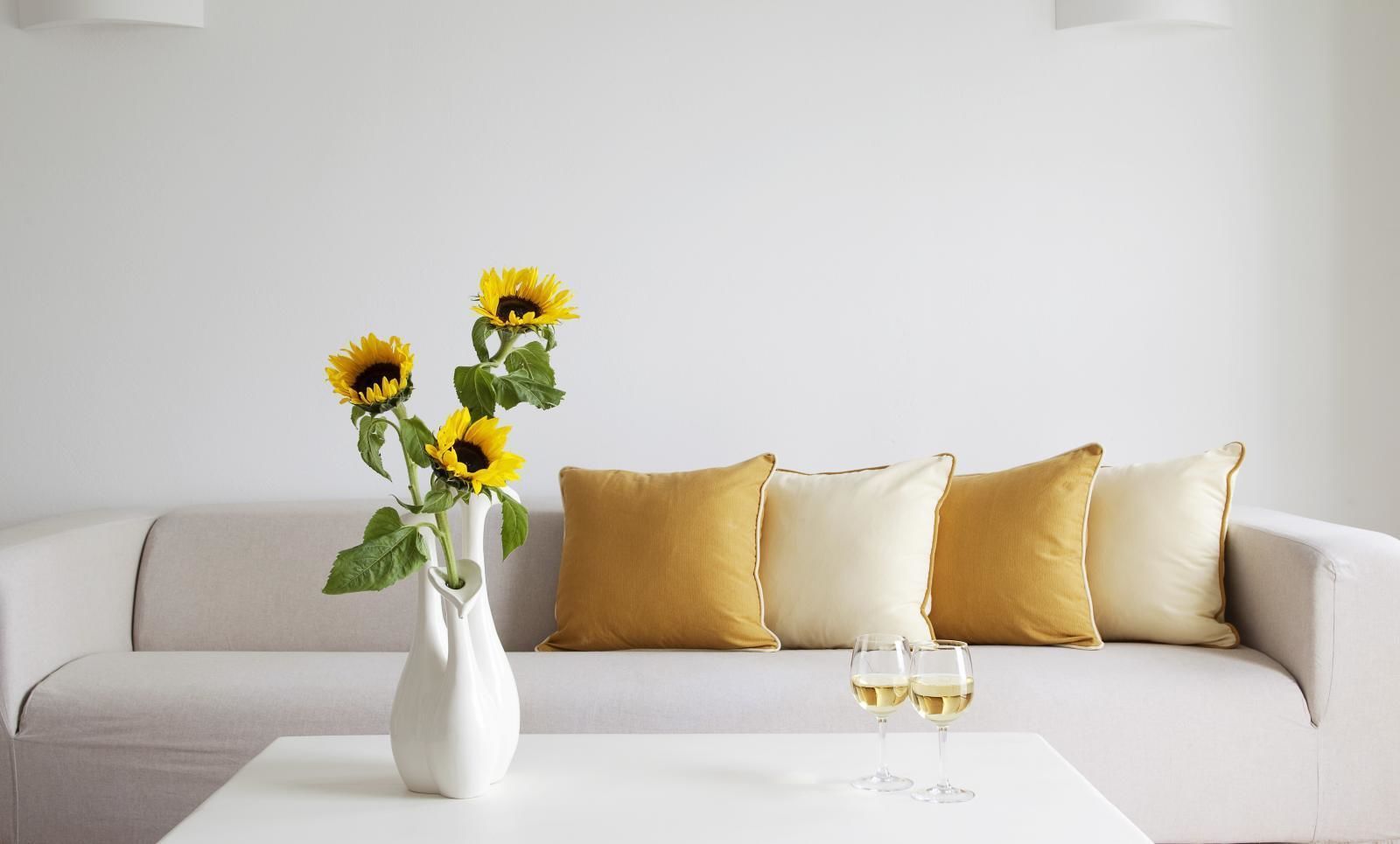 flat-screen tv, dvd player, computer