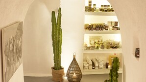 Un pasillo estrecho con una planta de cactus, un farol y estantes con diversos objetos.
