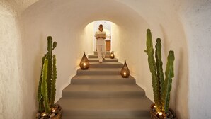 Una persona bajando una escalera con cactus y faroles, en un pasillo de paredes blancas.