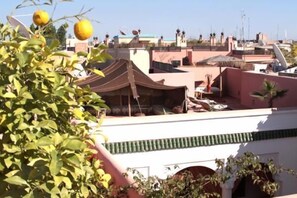 Eine Dachterrasse mit Blick auf umliegende Gebäude, einem kleinen Gartenbereich und einer zeltartigen Konstruktion.