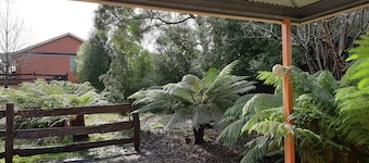Driftwood Strahan Villas