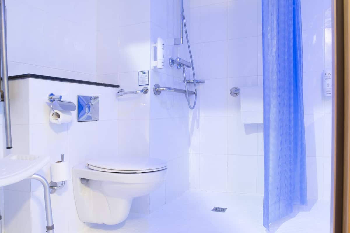 hair dryer, towels, soap, shampoo