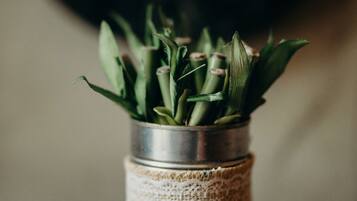 A metal container with a lace band, containing green plants, placed on a wooden surface.
