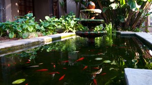 Una fuente escalonada rodeada de abundante vegetación en un jardín.